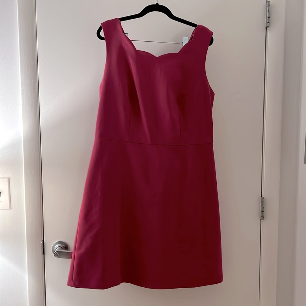 The Limited - Magenta scalloped sheath